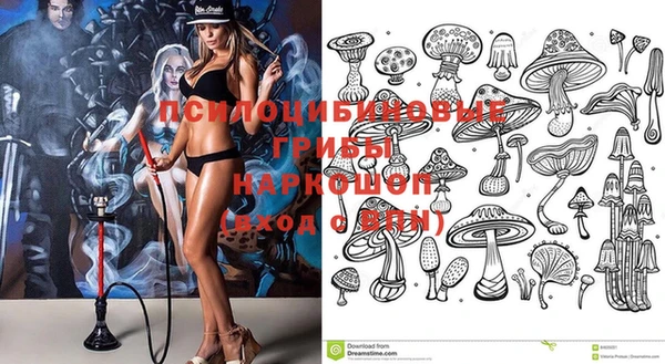 винт Балахна