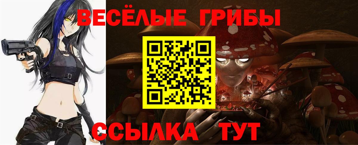 Заречный  Галлюциногенные грибы прущие грибы  Псилоцибиновые грибы мицелий  Вход с VPN 
